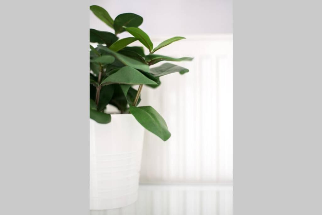 לריסה Your Cozy Downtown Home - Apartment מראה חיצוני תמונה